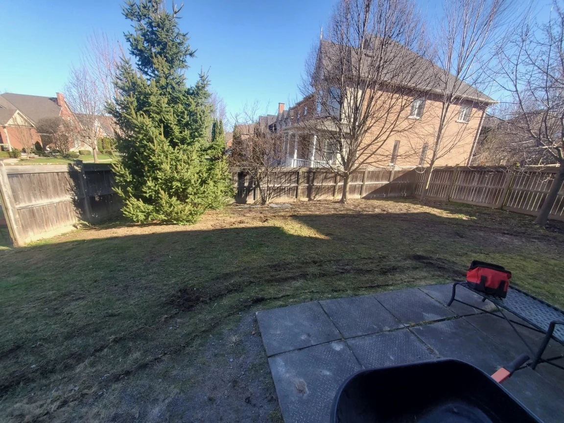Before landscaping: backyard with patchy lawn, a paved patio, fencing and mature trees