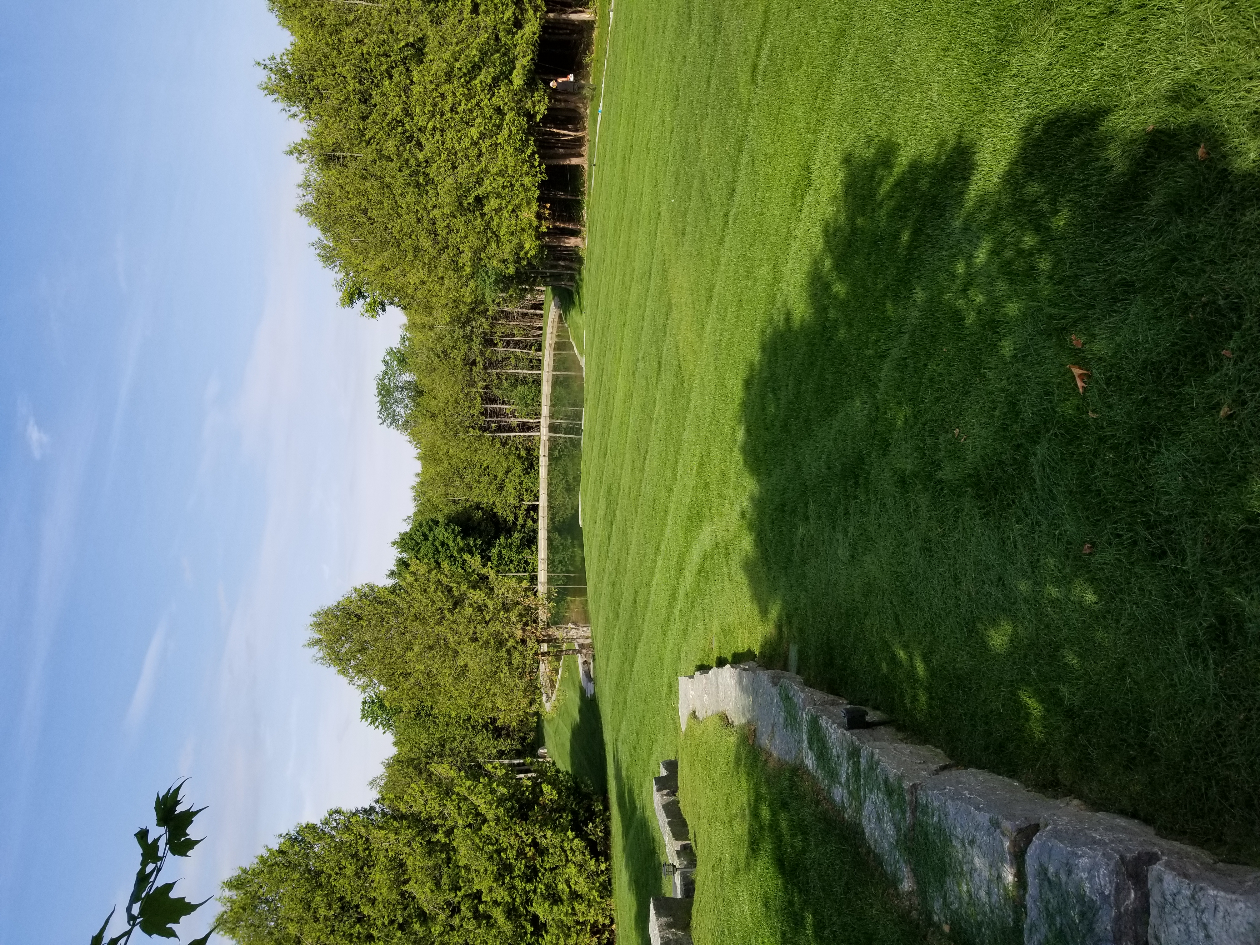 Pond surrounded by a green lawn, stone edging, and mature trees