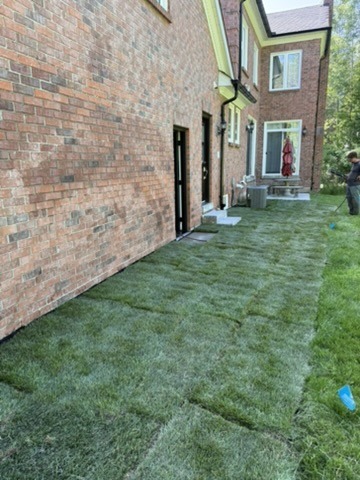 Fresh sod laid alongside a brick house